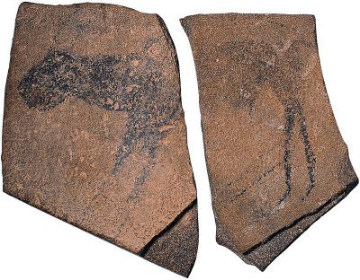 Найдавніше зображення тварини Африки з печери Аполлон-11, Намібія. Від 27 500 до 25 500 років до н.е.
