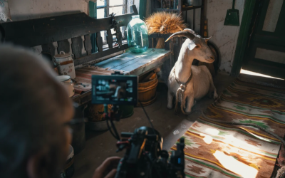 Кадр з фільму «Війна очима тварин». Фото: SOTA Cinema Group
